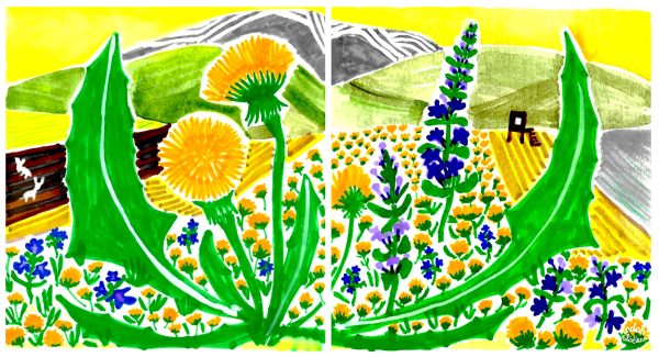 Dandelion Wildflowers Print - Image 6