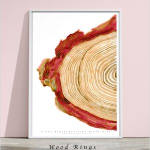 Wood Rings Art Print