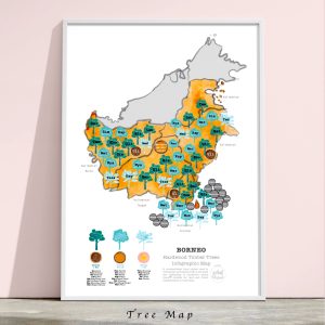 Framed map of Borneo on native species trees for land rehabilitation and timber species used for traditional construction. Both types as recommendation for replanting.