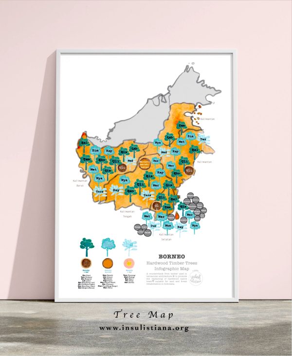 Framed map of Borneo on native species trees for land rehabilitation and timber species used for traditional construction. Both types as recommendation for replanting.