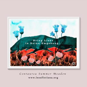 Centaurea Summer Meadow Art Print