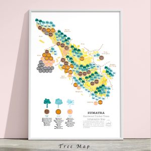Framed poster of Sumatra map on native species trees for land rehabilitation and timber species used for traditional construction. Both types as recommendation for replanting.